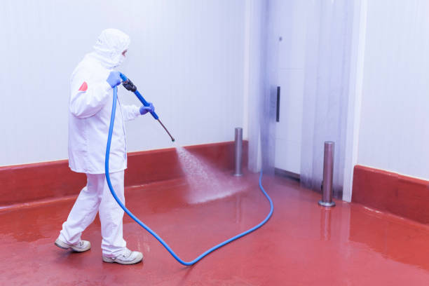 Best Rust Removal  in Dundee, FL